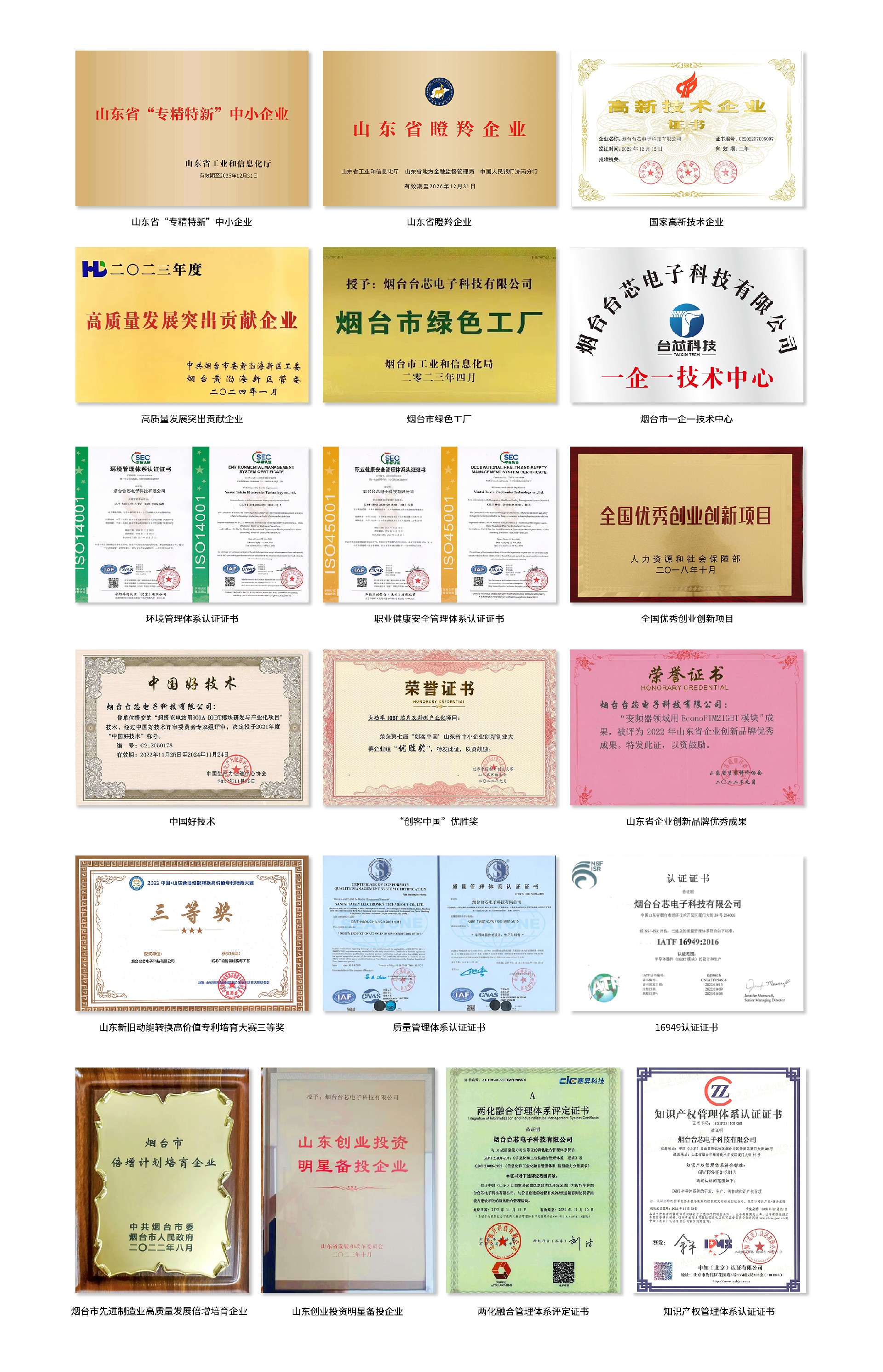 奖状2024.jpg