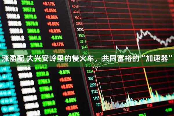 涨盈配 大兴安岭里的慢火车，共同富裕的“加速器”