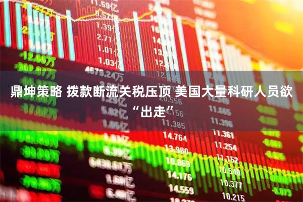 鼎坤策略 拨款断流关税压顶 美国大量科研人员欲“出走”