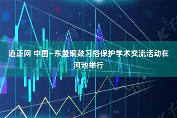 道正网 中国—东盟铜鼓习俗保护学术交流活动在河池举行