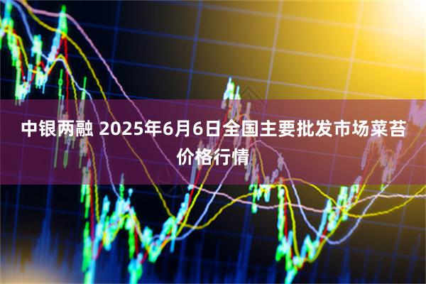 中银两融 2025年6月6日全国主要批发市场菜苔价格行情