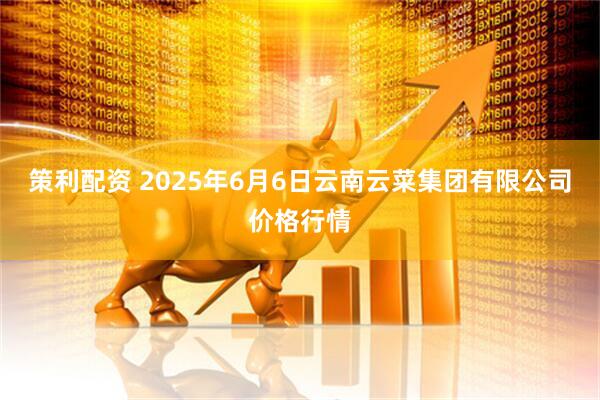 策利配资 2025年6月6日云南云菜集团有限公司价格行情